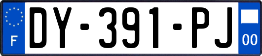 DY-391-PJ