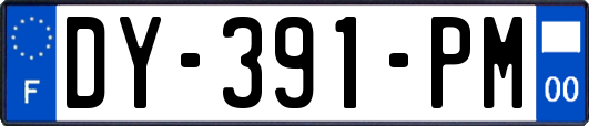 DY-391-PM
