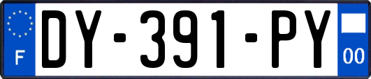 DY-391-PY