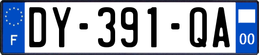 DY-391-QA