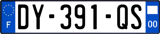 DY-391-QS