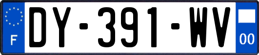 DY-391-WV