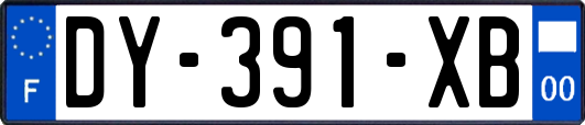 DY-391-XB