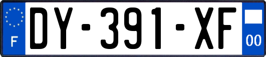 DY-391-XF