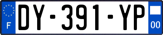 DY-391-YP