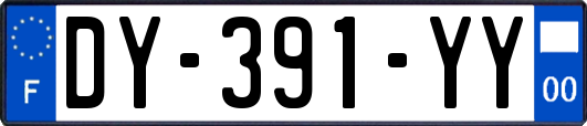 DY-391-YY