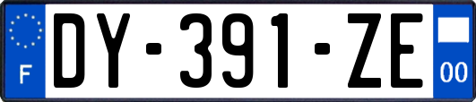 DY-391-ZE