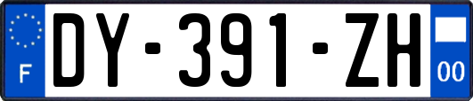 DY-391-ZH