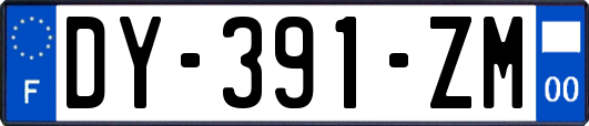 DY-391-ZM