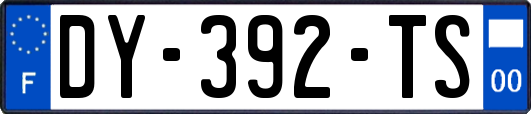 DY-392-TS