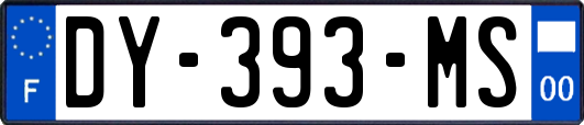 DY-393-MS