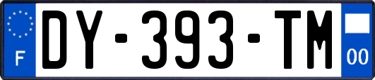 DY-393-TM