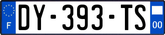 DY-393-TS