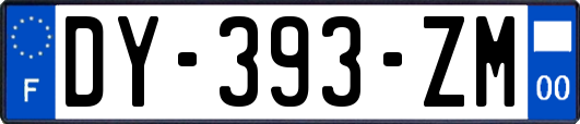 DY-393-ZM