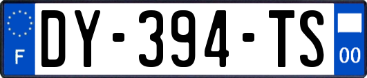 DY-394-TS