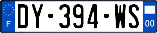 DY-394-WS