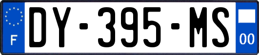DY-395-MS