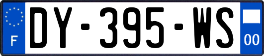 DY-395-WS