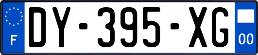 DY-395-XG