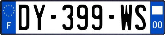 DY-399-WS