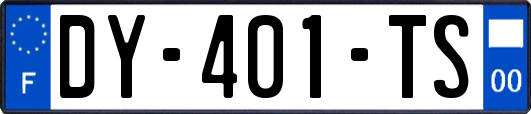 DY-401-TS