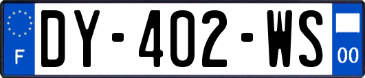 DY-402-WS