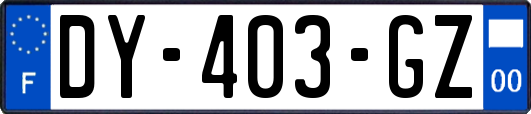 DY-403-GZ