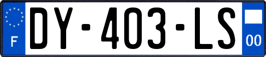 DY-403-LS