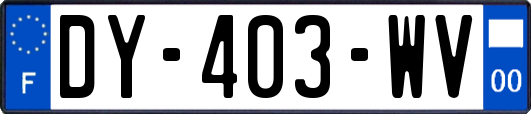 DY-403-WV