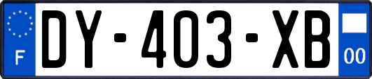 DY-403-XB