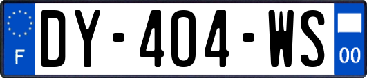 DY-404-WS