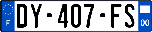 DY-407-FS