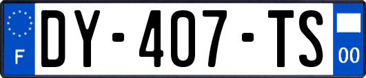 DY-407-TS