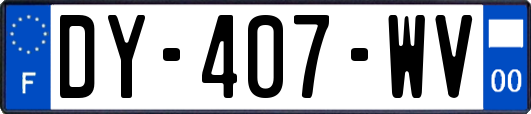 DY-407-WV