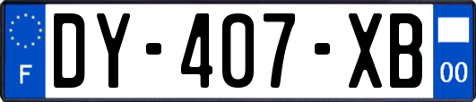 DY-407-XB