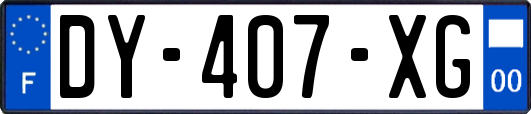 DY-407-XG