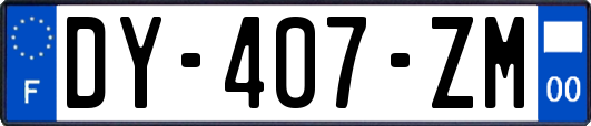 DY-407-ZM