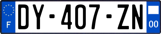 DY-407-ZN