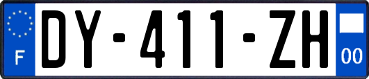 DY-411-ZH