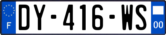 DY-416-WS