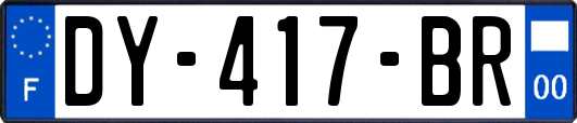 DY-417-BR