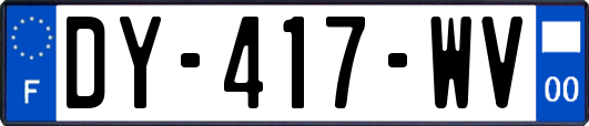 DY-417-WV