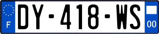 DY-418-WS