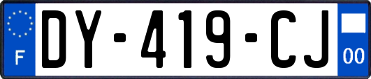 DY-419-CJ