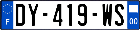 DY-419-WS