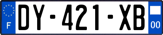 DY-421-XB