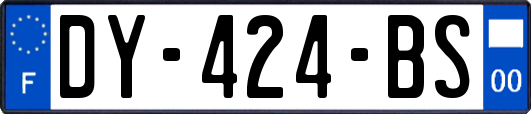 DY-424-BS