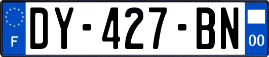 DY-427-BN