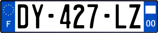 DY-427-LZ