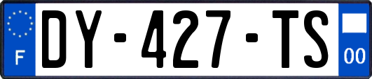 DY-427-TS